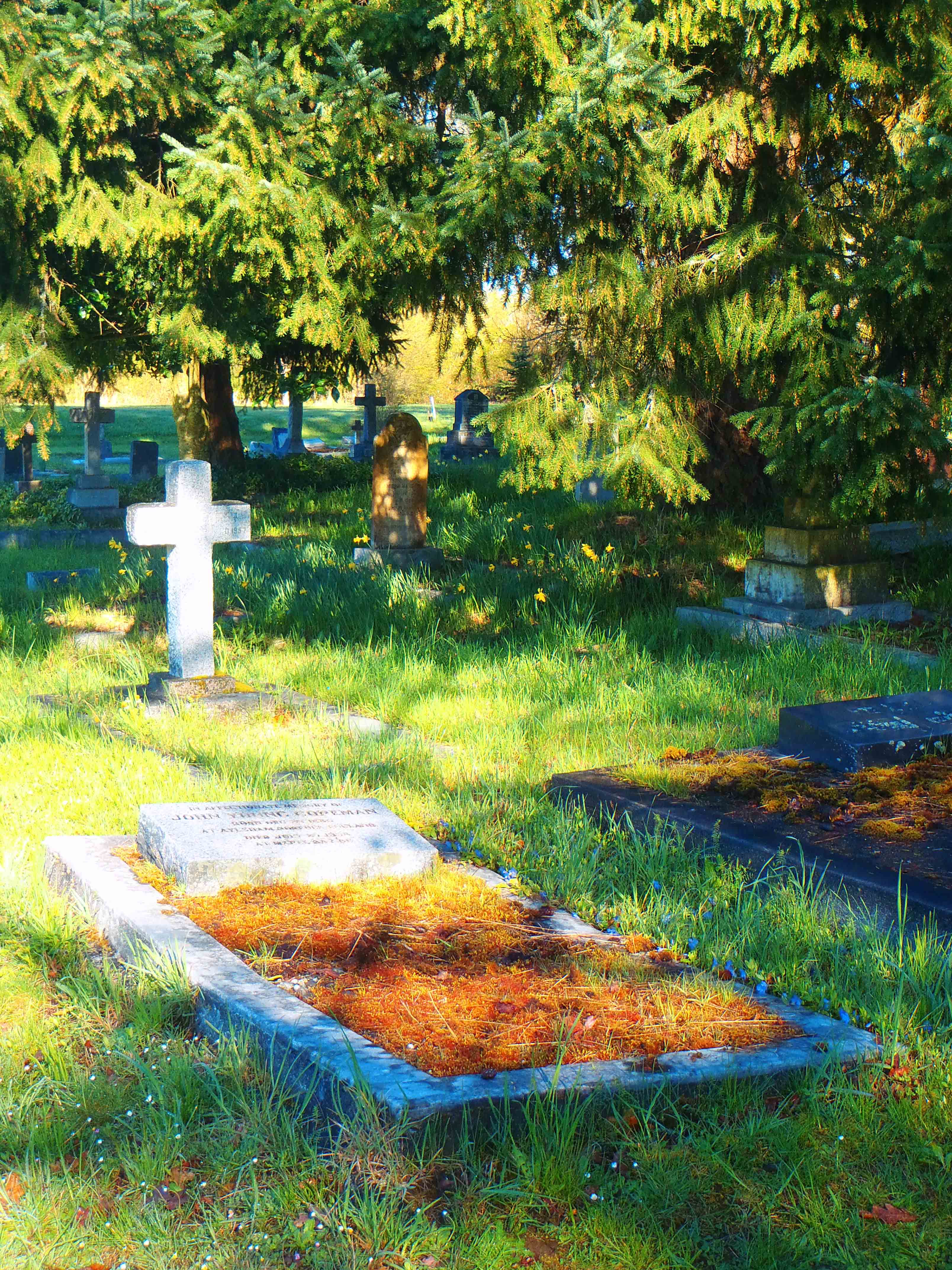 John Young Copeman grave, Saint Peter's Quamichan Anglican cemetery